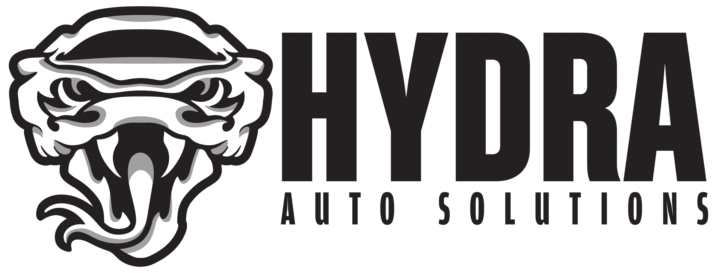 Hydra Auto Solutions — Identity · Apparel · Secondary mark